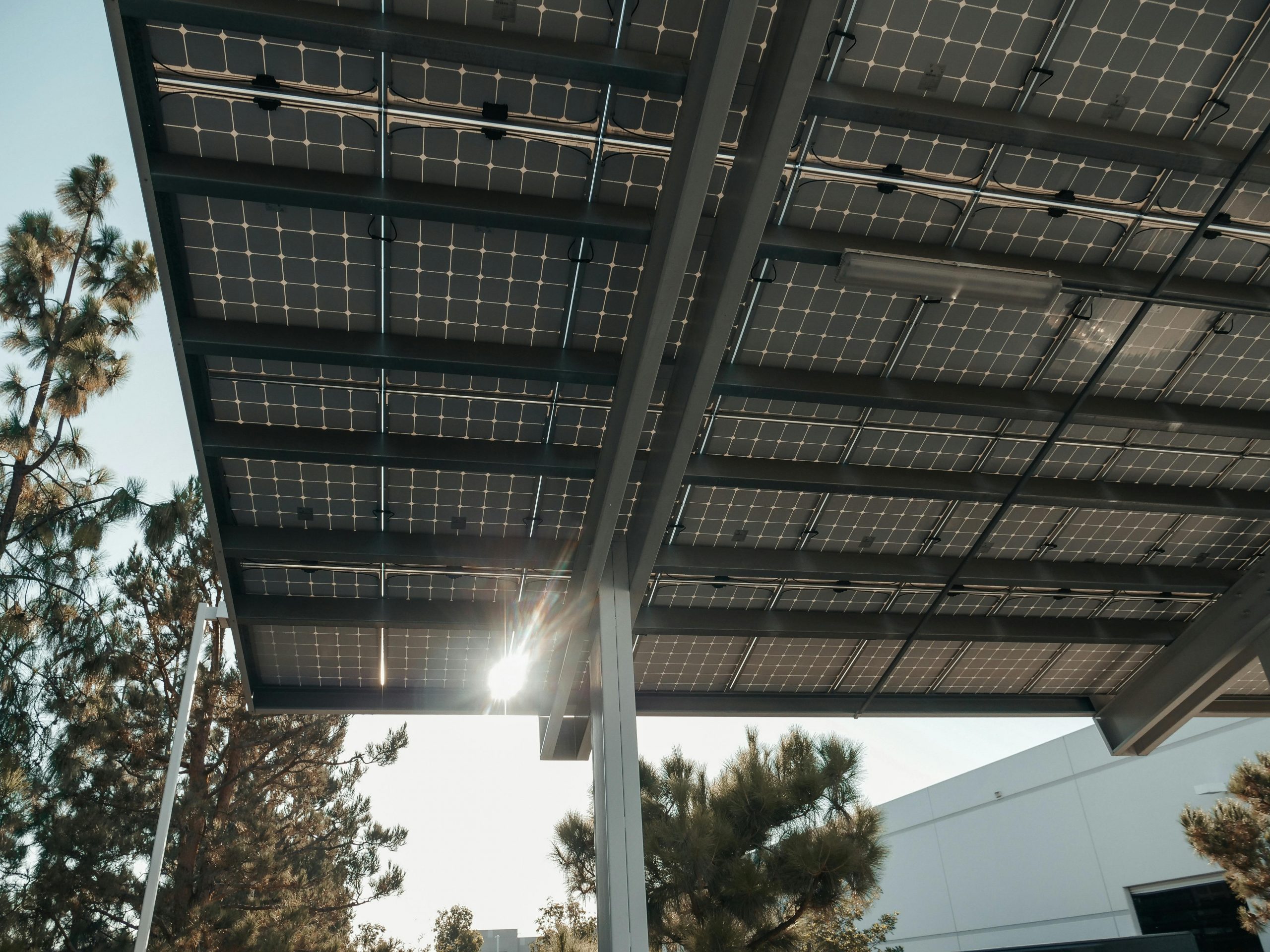 Nahaufnahme der Unterseite eines Solar-Carports mit Photovoltaikmodulen und Sonnenlicht, umgeben von Bäumen.