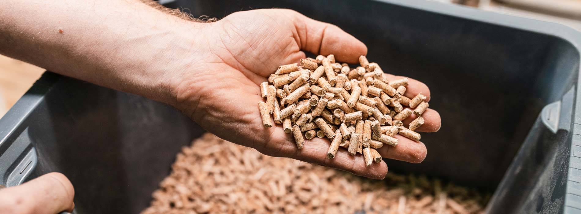 Hochwertige ENplus-zertifizierte Pellets kaufen in der Hand.
